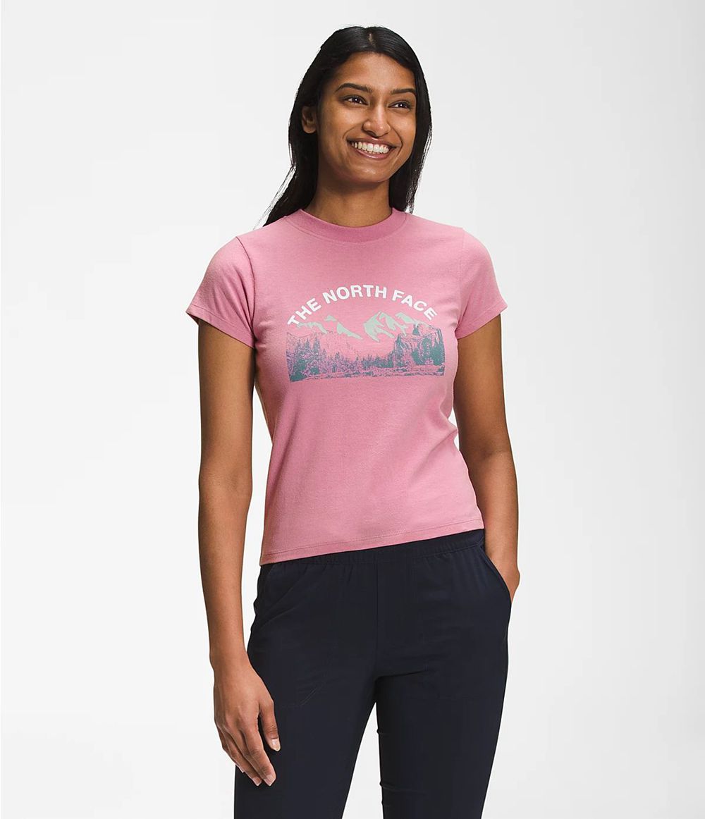 The North Face Kurzer Ärmel Outdoors Together T-Shirts Damen - Rosa CH-313KDIQ